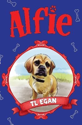 Alfie 1