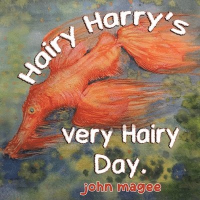 John Magee - Hairy Harry's very Hairy Day, Häftad
