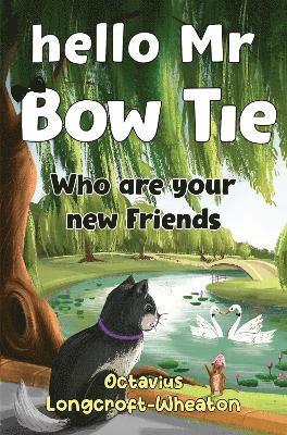 Octavius Longcroft-Wheaton - Hello Mr Bow Tie, Who are your new Friends, Häftad
