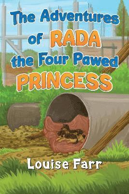 bokomslag Adventures of Rada the Four Pawed Princess