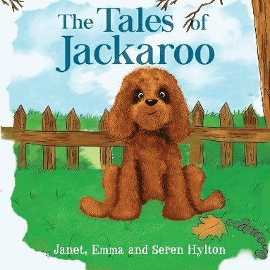 bokomslag The tales of Jackaroo