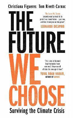 bokomslag Future We Choose