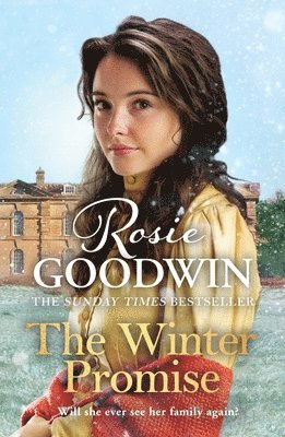 Rosie Goodwin - Winter Promise, Häftad