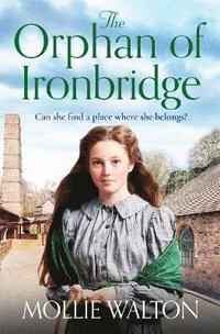 bokomslag The Orphan of Ironbridge