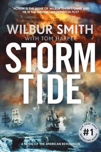 bokomslag Storm Tide