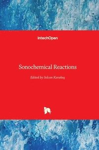 bokomslag Sonochemical Reactions