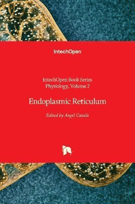 Endoplasmic Reticulum 1