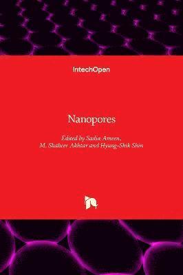 Sadia Ameen, M. Shaheer Akhtar, Hyung-Shik Shin - Nanopores, Inbunden