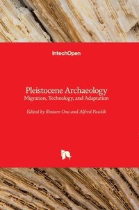 bokomslag Pleistocene Archaeology