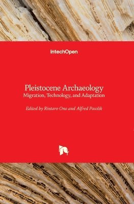 Rintaro Ono, Alfred Pawlik - Pleistocene Archaeology, Inbunden