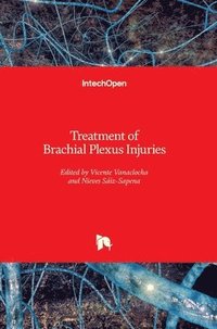 bokomslag Treatment of Brachial Plexus Injuries