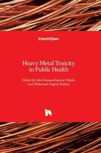 bokomslag Heavy Metal Toxicity in Public Health