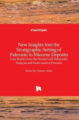 New Insights into the Stratigraphic Setting of Paleozoic to Miocene Deposits