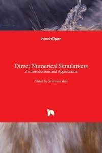 bokomslag Direct Numerical Simulations