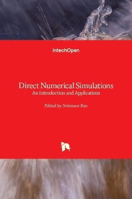 Direct Numerical Simulations 1