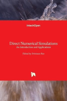 Srinivasa Rao - Direct Numerical Simulations, Inbunden