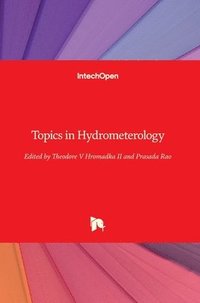 bokomslag Topics in Hydrometerology