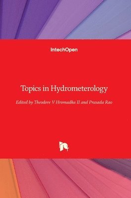 Theodore V Hromadka II, Prasada Rao, Theodore Hromadka - Topics in Hydrometerology, Inbunden