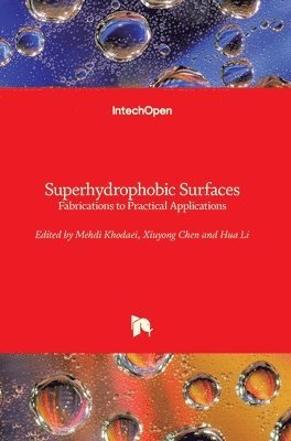 Superhydrophobic Surfaces 1