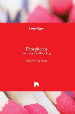 Tao Zhang - Phosphorus, Inbunden