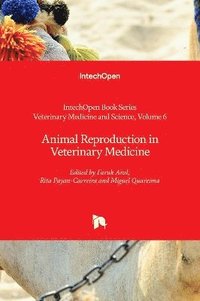 bokomslag Animal Reproduction in Veterinary Medicine