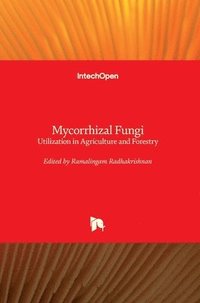 bokomslag Mycorrhizal Fungi