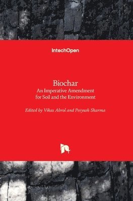 bokomslag Biochar