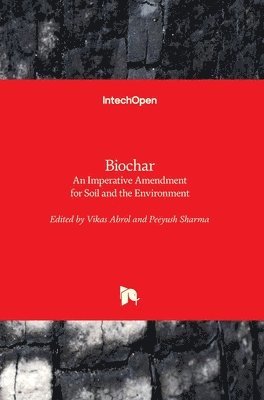 Biochar 1