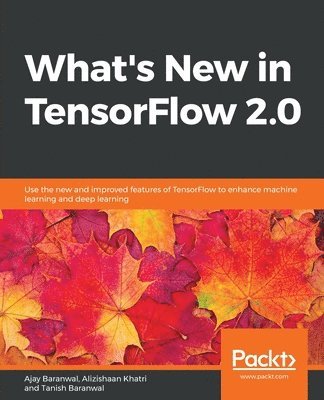 bokomslag What's New in TensorFlow 2.0