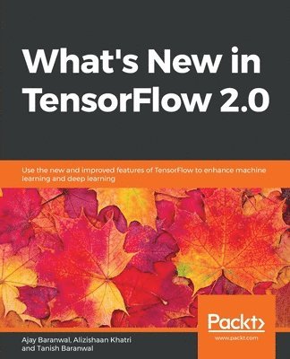 What's New in TensorFlow 2.0 1