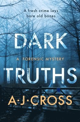 A. J. Cross - DARK TRUTHS MAIN/E, Häftad