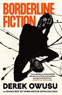 bokomslag Borderline Fiction