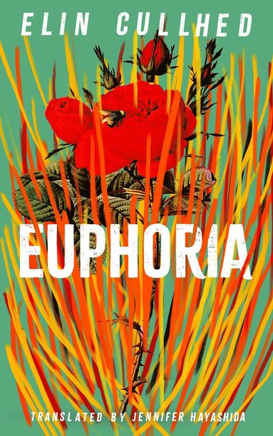 bokomslag Euphoria