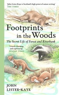bokomslag Footprints in the Woods