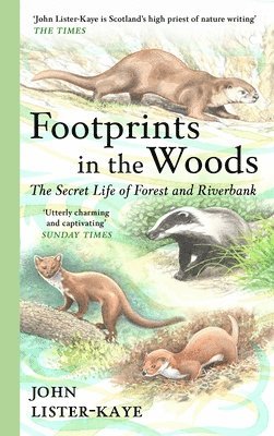 Footprints in the Woods 1