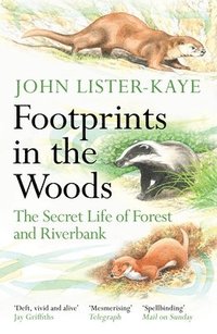bokomslag Footprints in the Woods