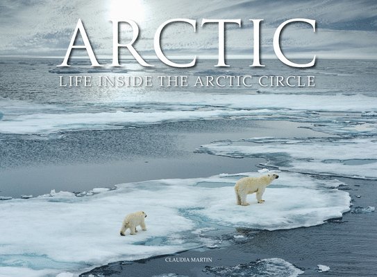 Arctic 1