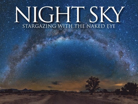 Night Sky 1