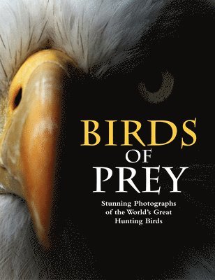 bokomslag Birds of Prey