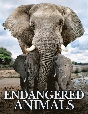 Endangered Animals 1