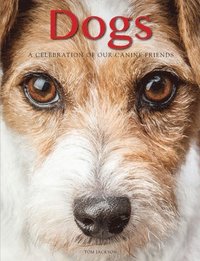 bokomslag Dogs: A Celebration of our Canine Friends