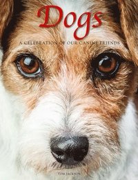 bokomslag Dogs: A Celebration of our Canine Friends