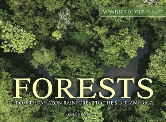 Forests: From the Amazon Rainforest to the Siberian Taiga