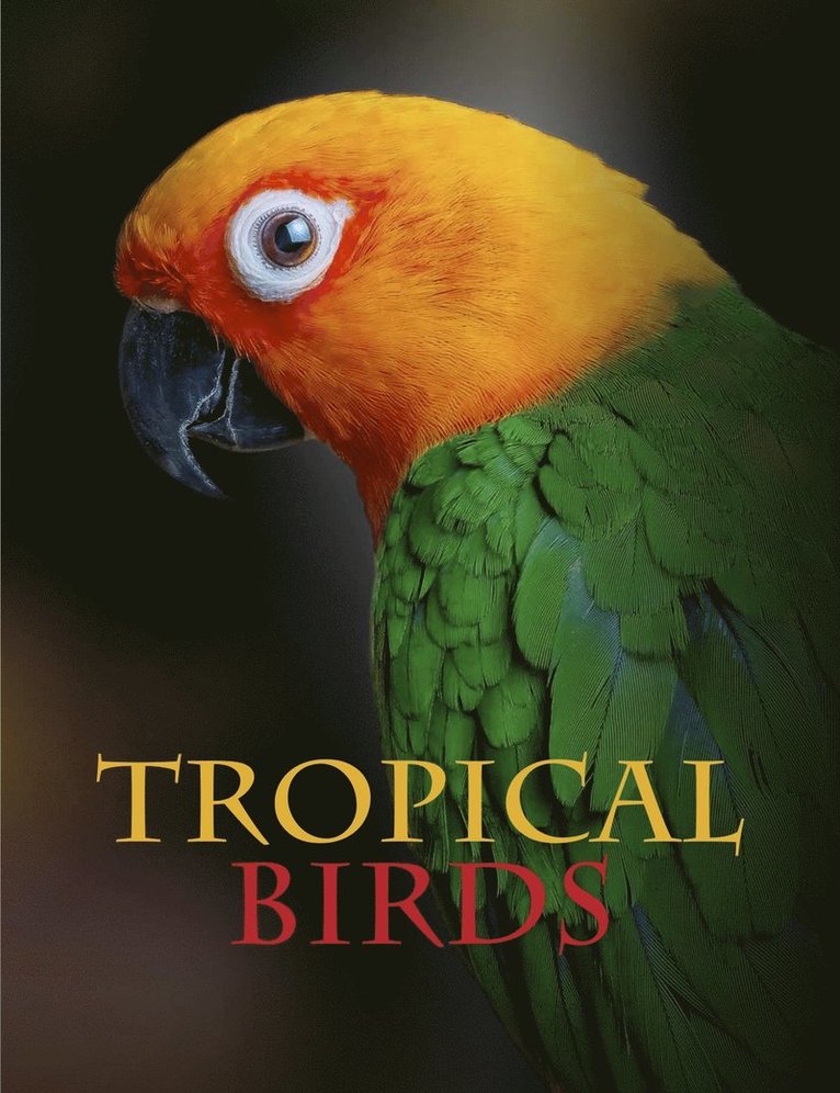 Tropical Birds 1