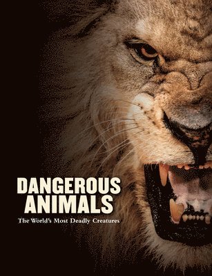 Dangerous Animals 1