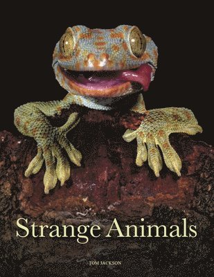 bokomslag Strange Animals