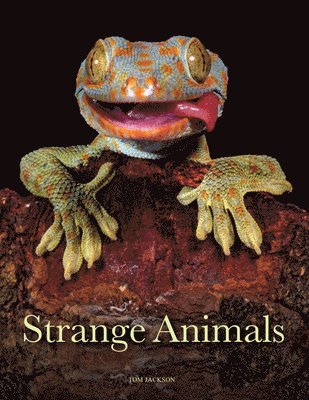 Strange Animals 1