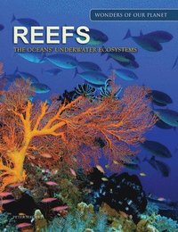 bokomslag Reefs