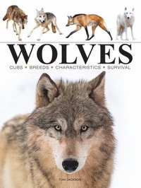 bokomslag Wolves