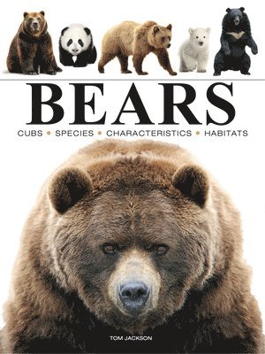 bokomslag Bears